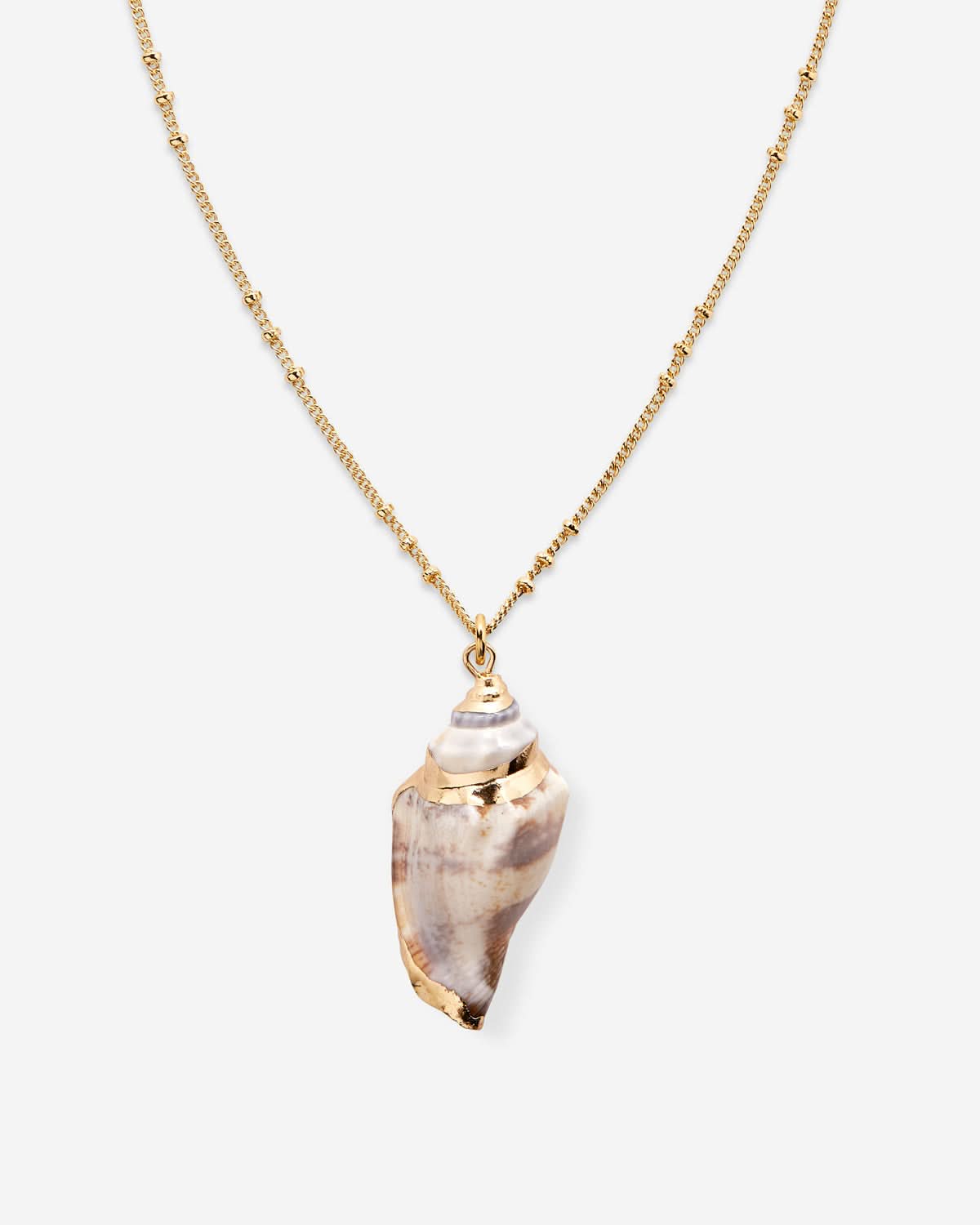 Sea Seeker Shell Necklace