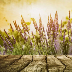 Lavender and Cedar
